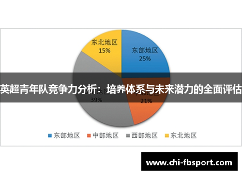 英超青年队竞争力分析:培养体系与未来潜力的全面评估 英超青年队竞争力分析:培养体系与未来潜力的全面评估