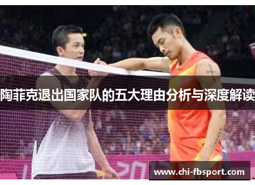 陶菲克退出国家队的五大理由分析与深度解读