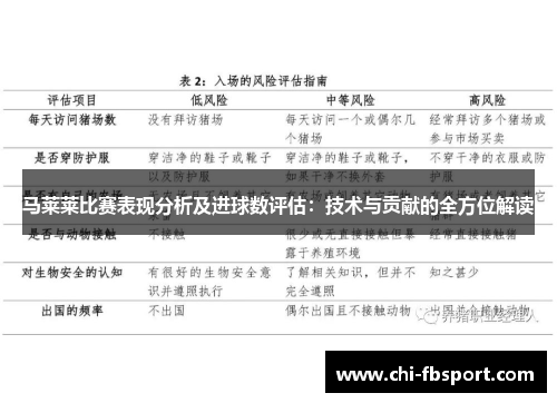 马莱莱比赛表现分析及进球数评估:技术与贡献的全方位解读 马莱莱比赛表现分析及进球数评估:技术与贡献的全方位解读